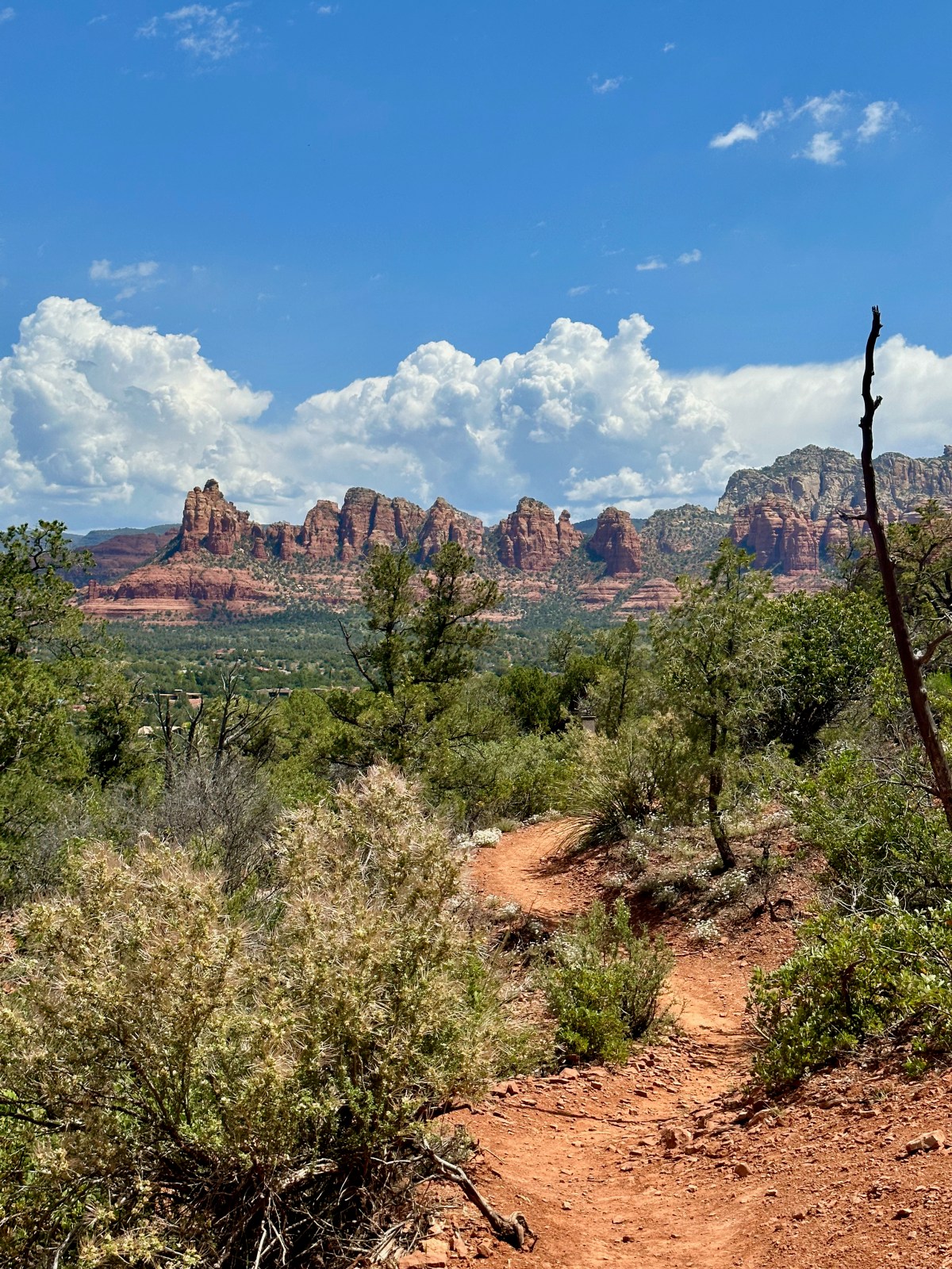 Top Sedona Loop Trails
