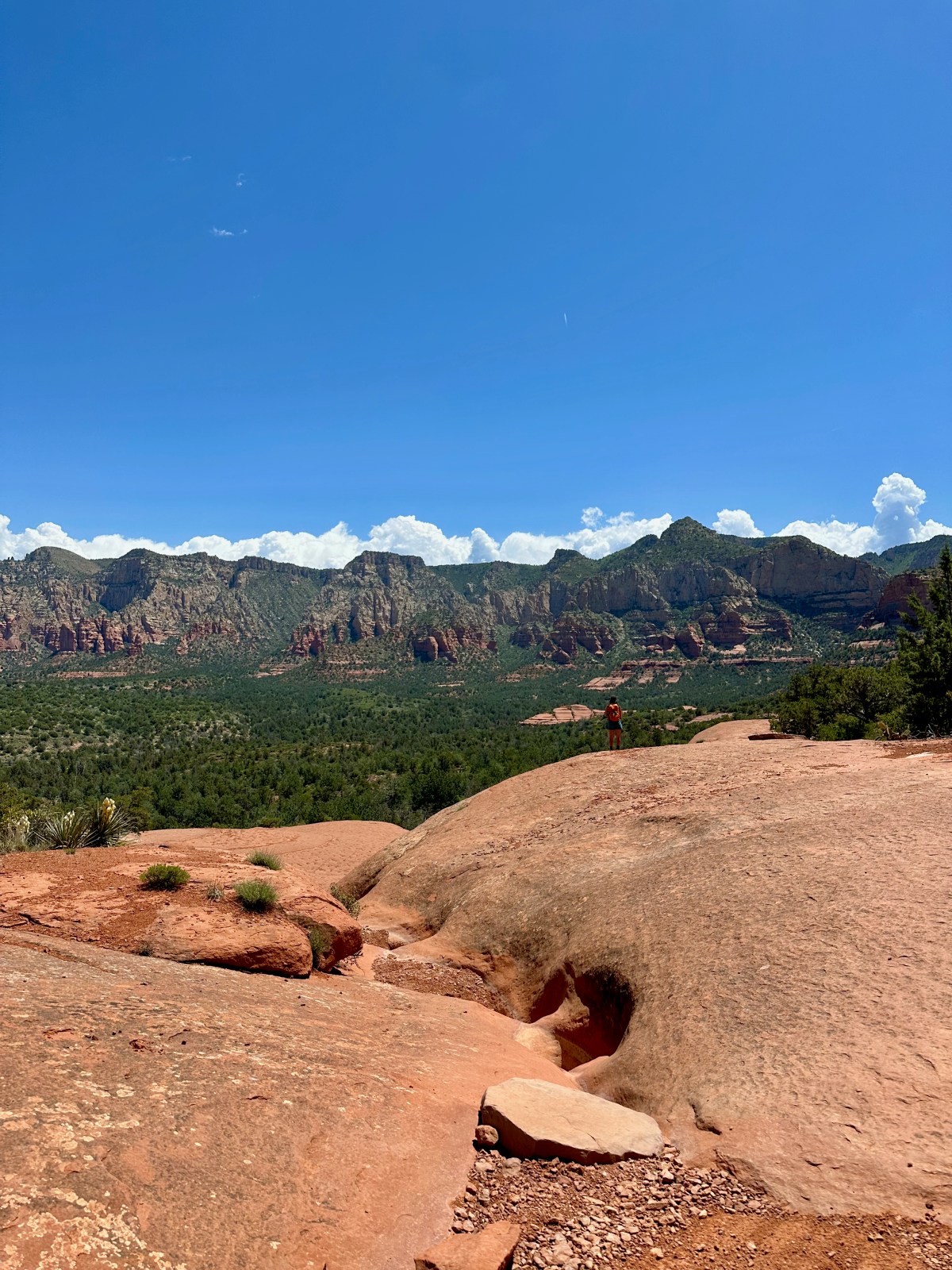 Top Sedona Loop Trails