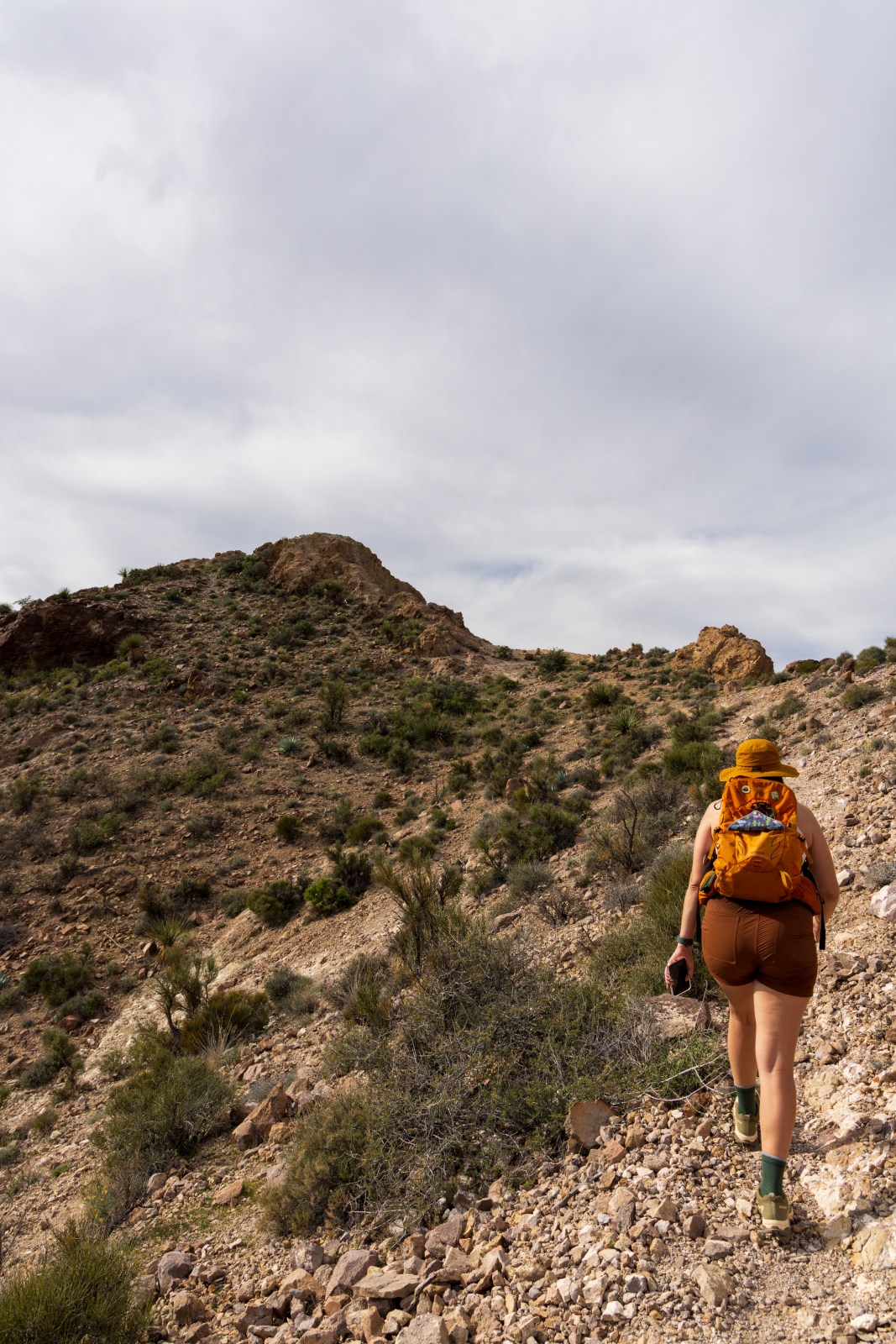 Signal Peak hike, Kofa National Wildlife Refuge