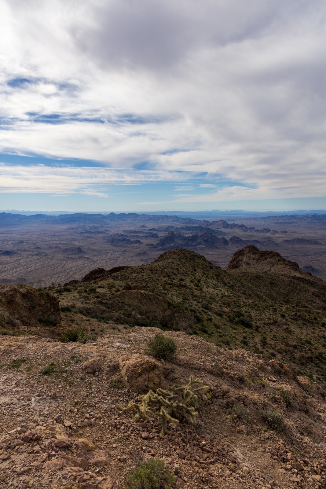 Signal Peak Summit, Kofa NWR