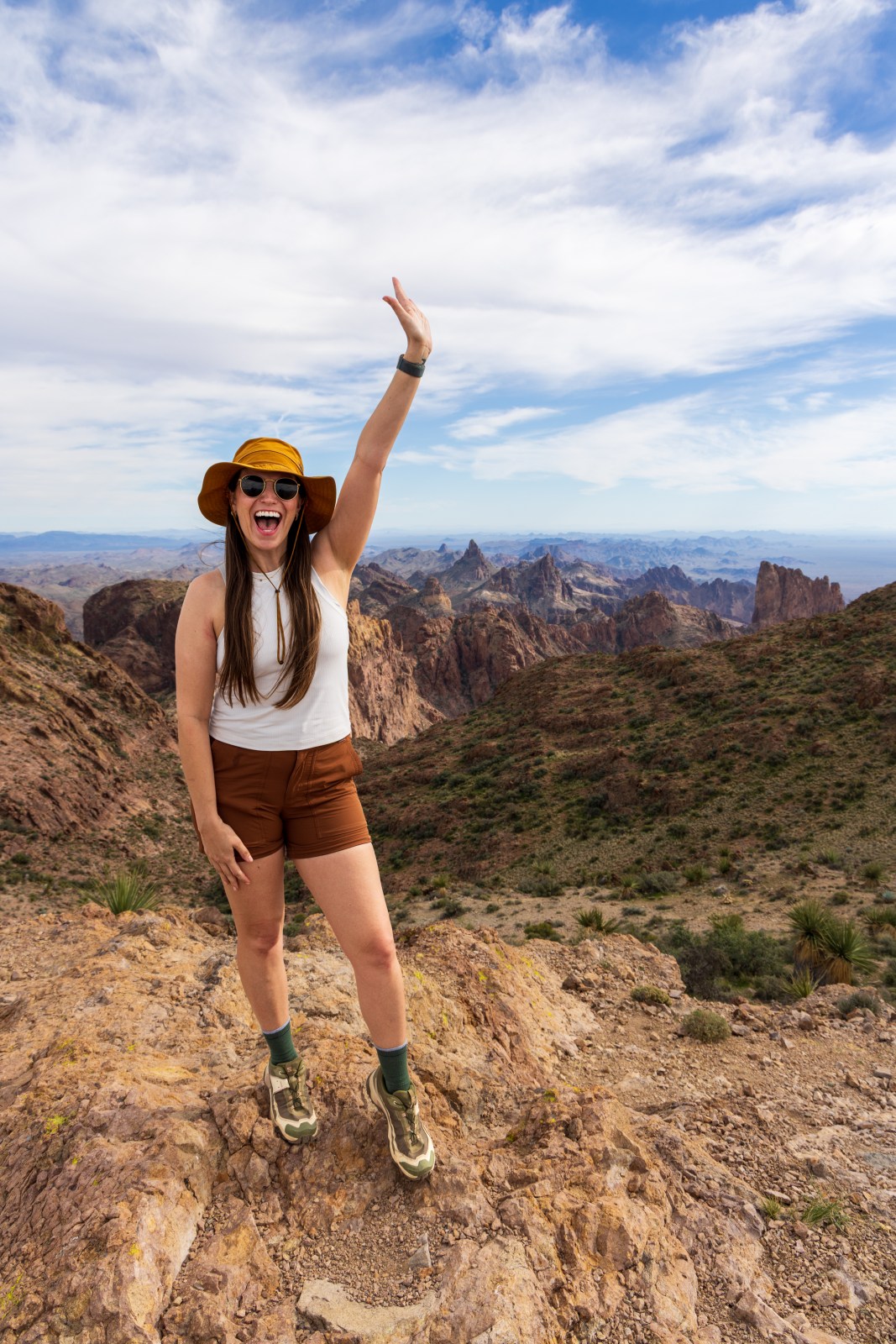 Signal Peak Summit, Kofa NWR
