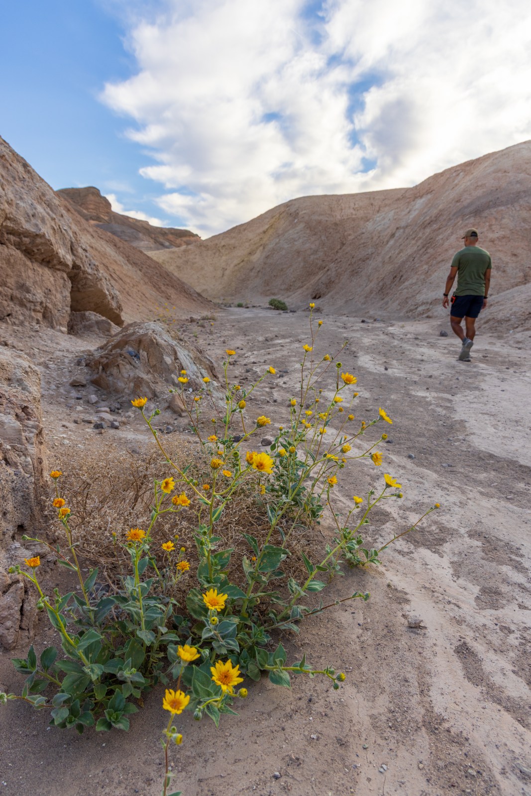 Zabriskie Point, Death Valley National Park