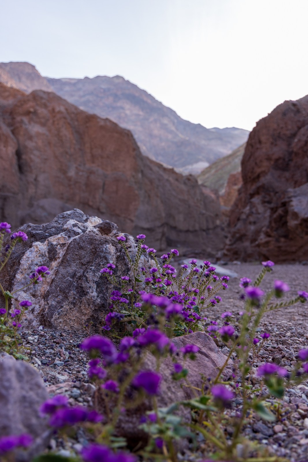 Natural Bridge Trail, Death Valley National Park