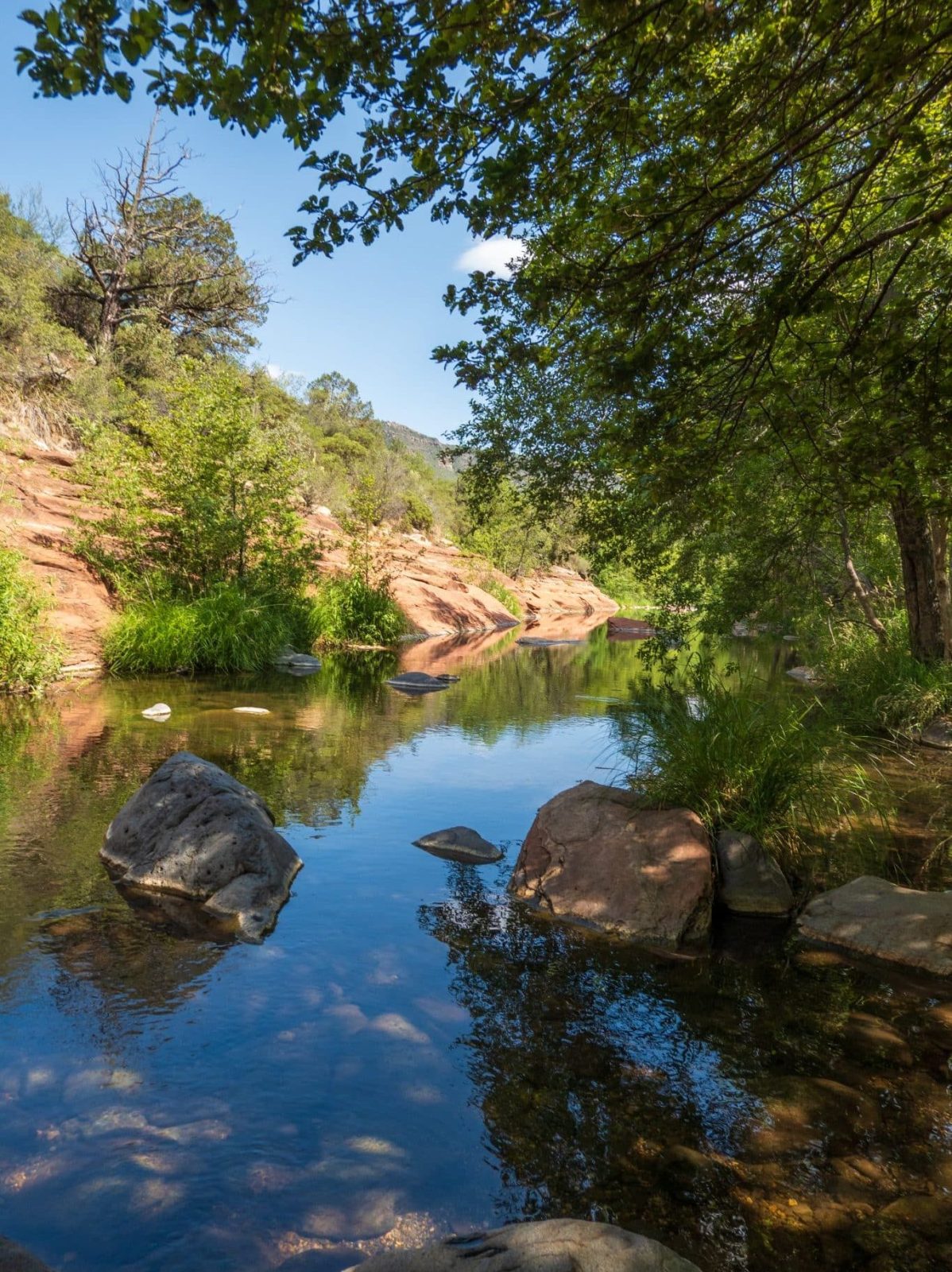 Oak Creek