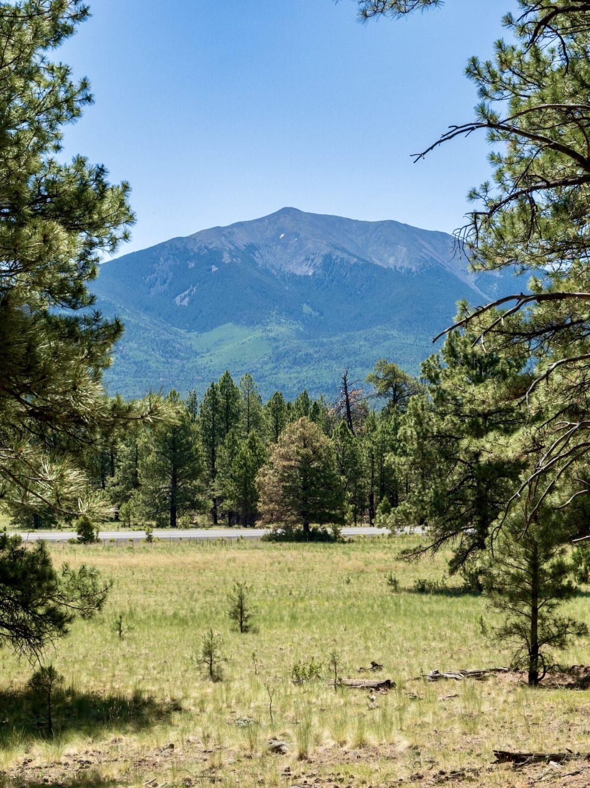 Kendrick Wildlife Trail, Flagstaff