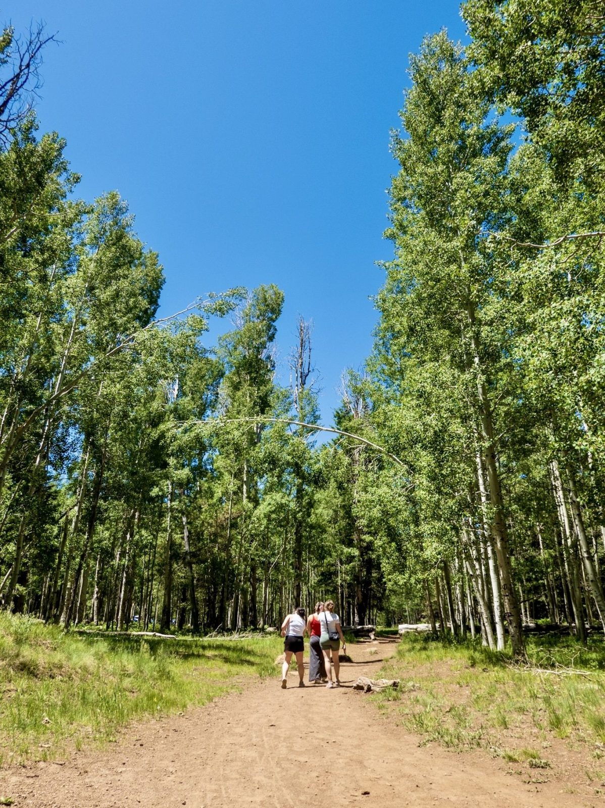 Kendrick Wildlife Trail, Flagstaff