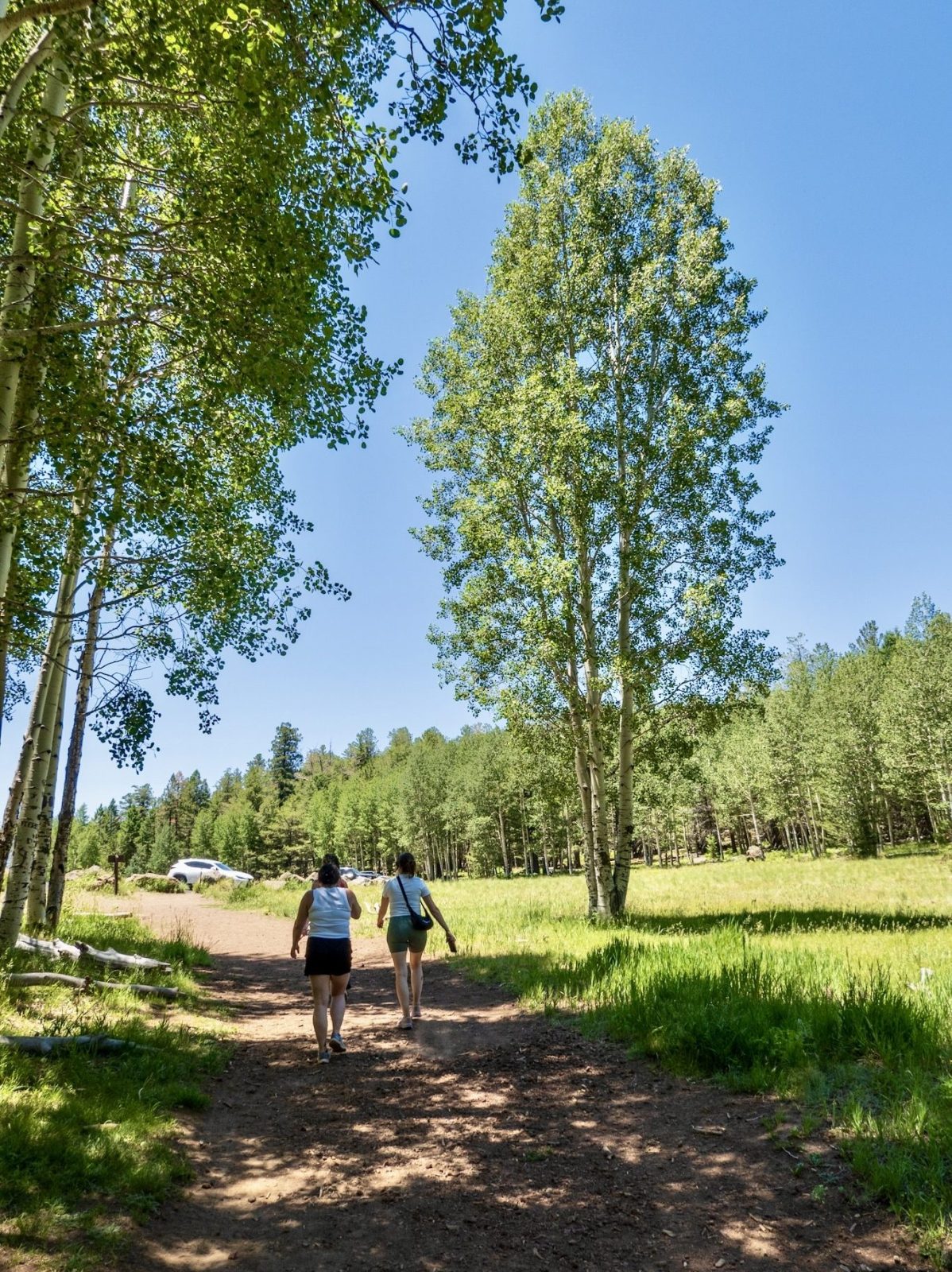 Aspen Corner, Flagstaff