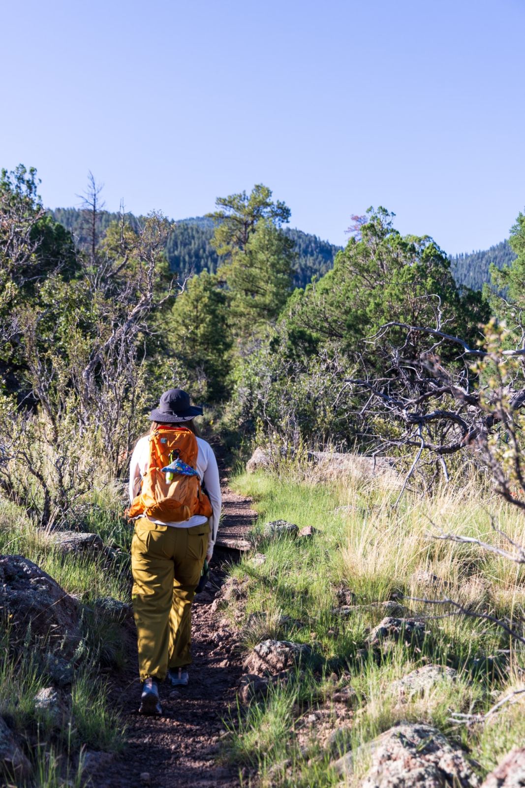 Cotopaxi LosDos zip-off convertible hiking pants