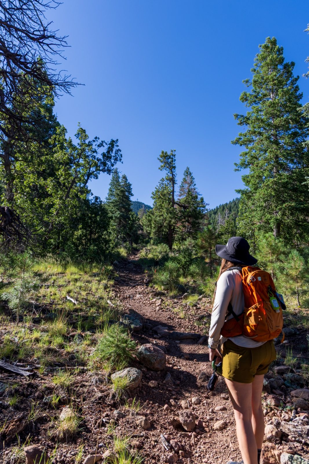 Cotopaxi LosDos zip-off convertible hiking pants