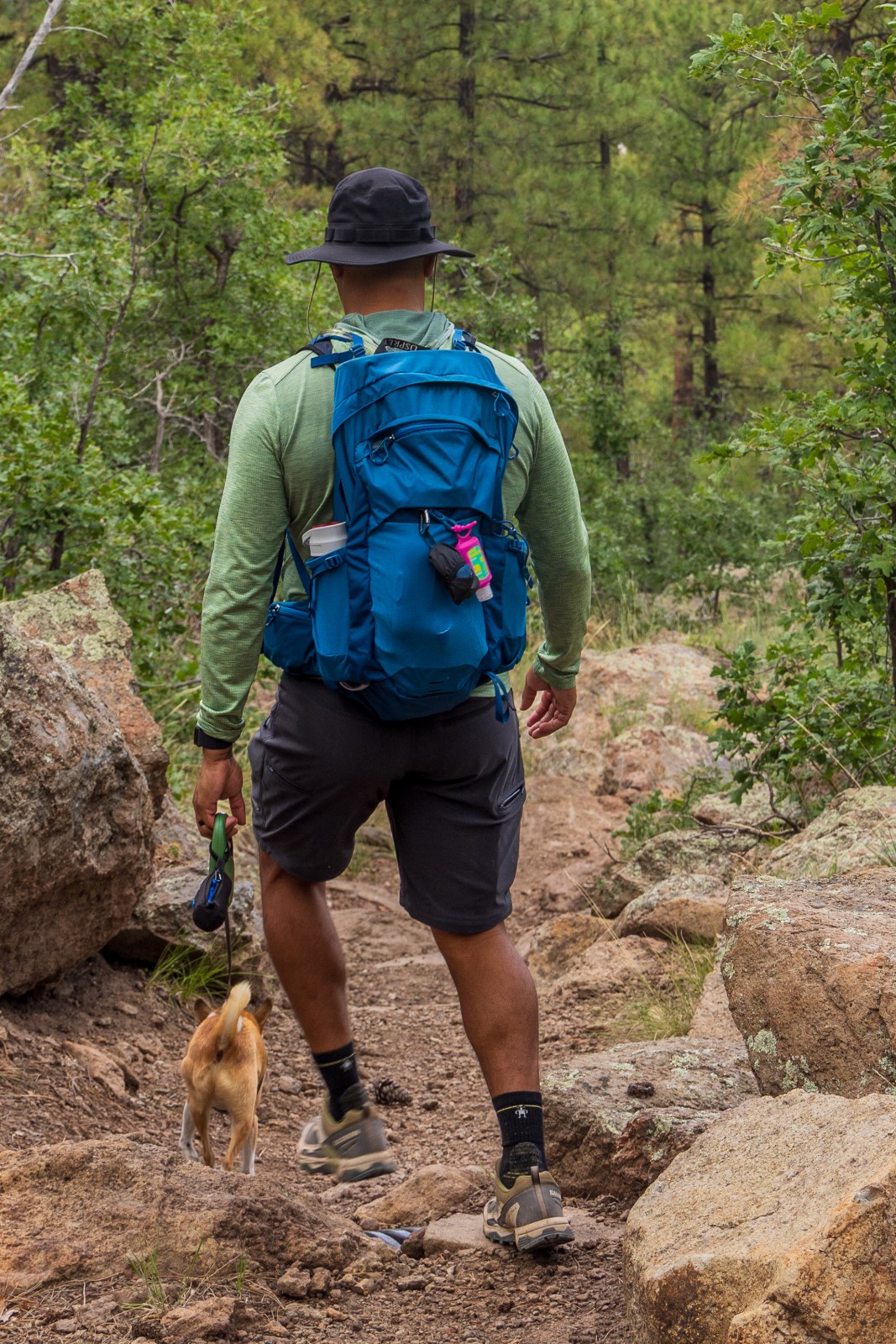 Kuhl Renegade Convertible Pants