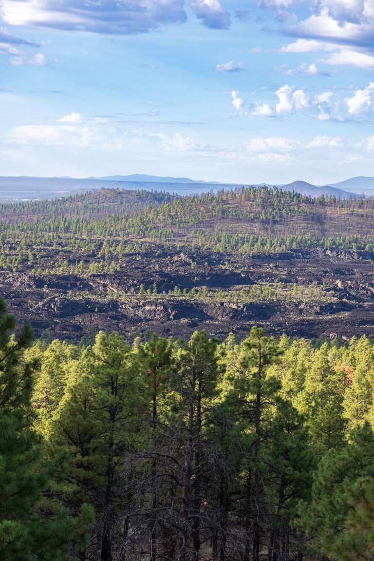 FT3A3232